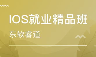 南京軟件開發(fā)培訓(xùn) 如何選擇優(yōu)質(zhì)的輔導(dǎo)班與行業(yè)趨勢