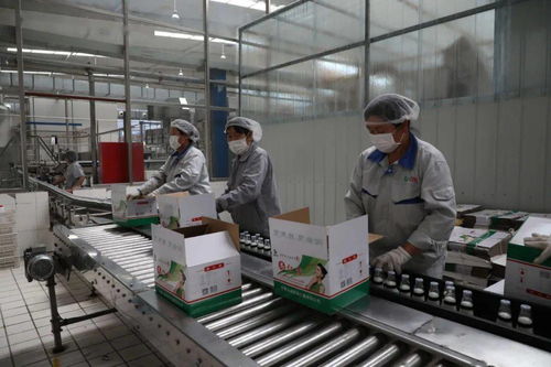 南京開發區 本地飲品年貨市場旺，節后加緊生產忙，軟件賦能助發展